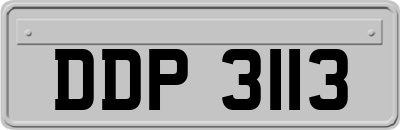 DDP3113