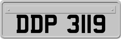 DDP3119