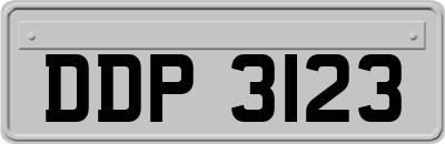 DDP3123