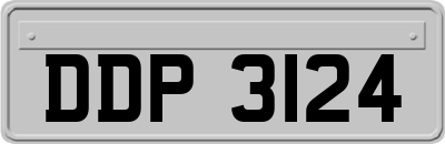 DDP3124