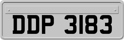 DDP3183