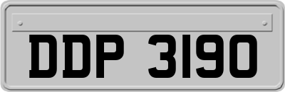 DDP3190