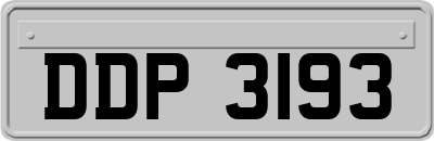 DDP3193