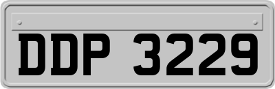 DDP3229