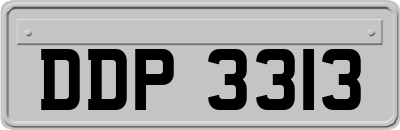 DDP3313