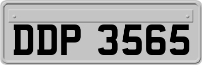 DDP3565