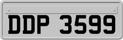 DDP3599