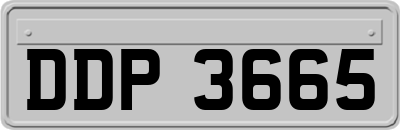DDP3665