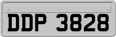 DDP3828