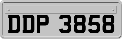 DDP3858