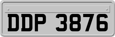 DDP3876