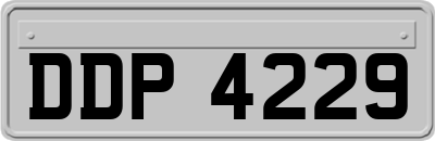DDP4229