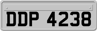 DDP4238