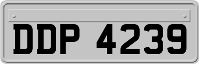 DDP4239