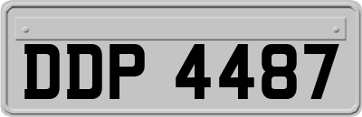 DDP4487