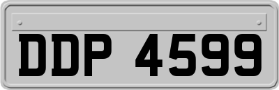 DDP4599