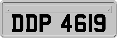 DDP4619