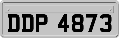 DDP4873