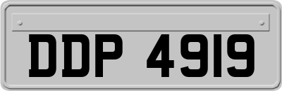 DDP4919