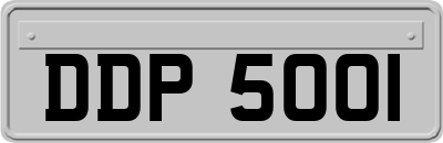 DDP5001