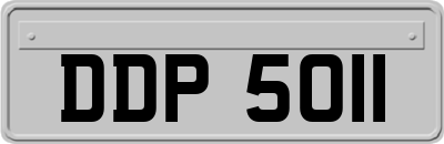 DDP5011