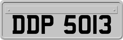 DDP5013