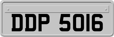 DDP5016