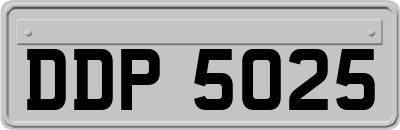 DDP5025