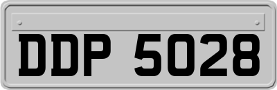 DDP5028