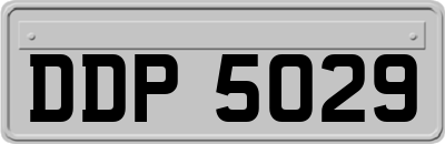DDP5029