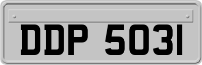 DDP5031