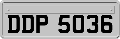 DDP5036