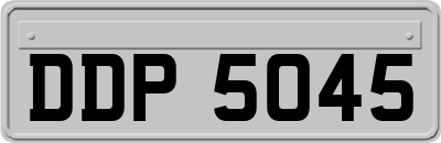 DDP5045