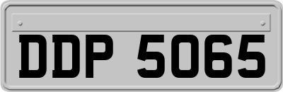 DDP5065
