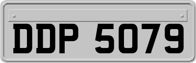 DDP5079
