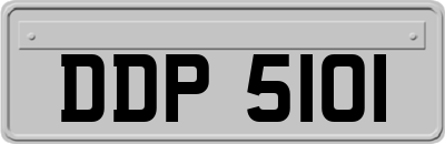 DDP5101