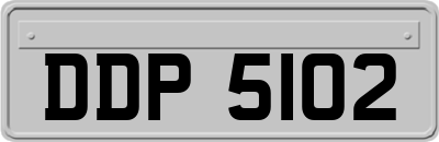DDP5102
