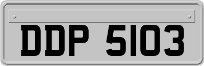 DDP5103