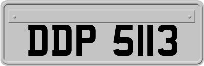 DDP5113