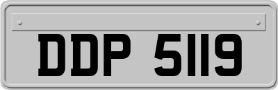 DDP5119