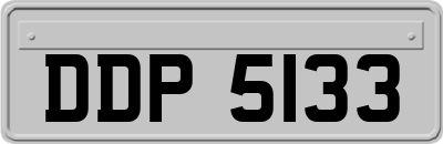 DDP5133
