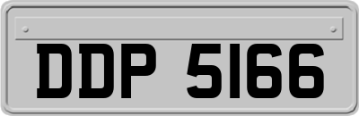 DDP5166