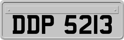 DDP5213