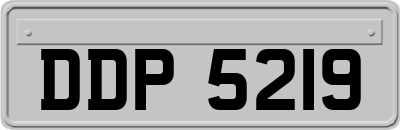 DDP5219