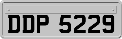 DDP5229