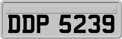 DDP5239