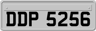 DDP5256