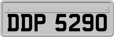 DDP5290