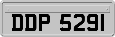 DDP5291