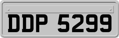 DDP5299